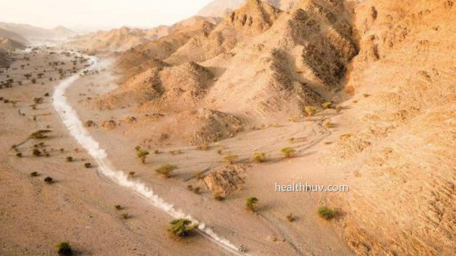 华体会体育特别报道:SS2|通向阿尔乌拉的路属于丰田!